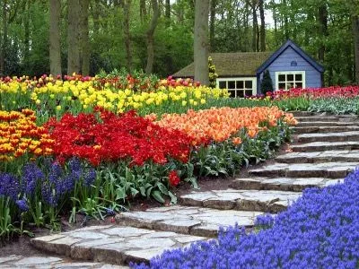 Garden Idioms