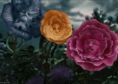 Spring idioms. Flower idioms