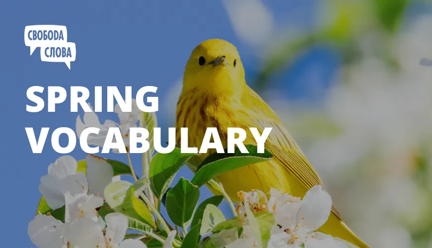 Spring vocabulary