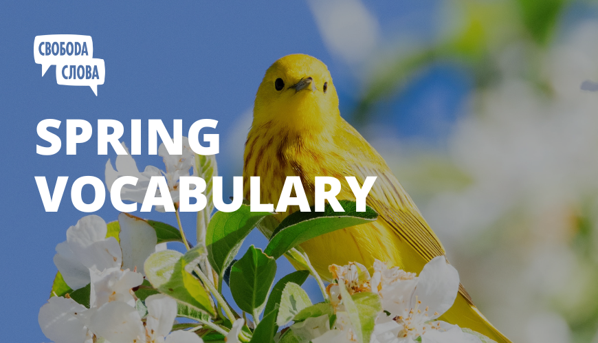 Spring vocabulary